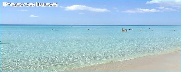 Le Dimore Di Luciana Marina Di Pescoluse Dış mekan fotoğraf